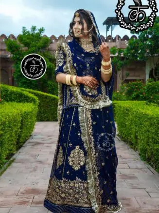 Designer Beautiful Poshak