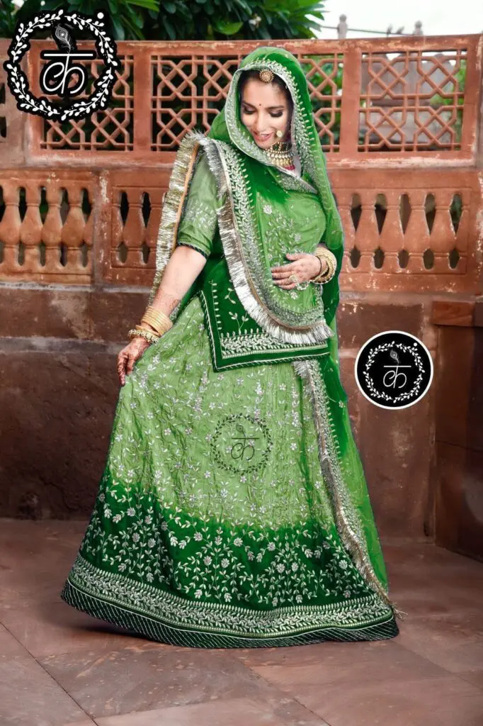 Beautiful Double Shaded Rajputi Dress