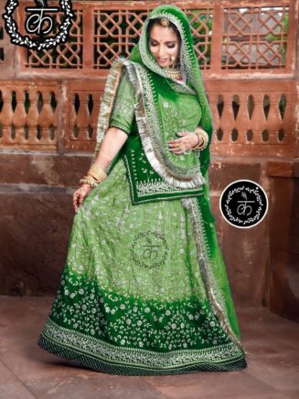 Beautiful Double Shaded Rajputi Dress