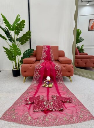 photo_1_2026-02-21_22-43-14