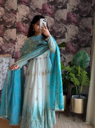 photo_2_2026-02-17_10-50-09