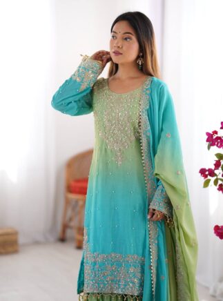 photo_6_2026-02-06_21-19-02