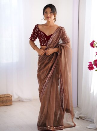 RjPoshak Brown Net Saree with Velvet Blouse – Embroidered Party Wear Saree for Women