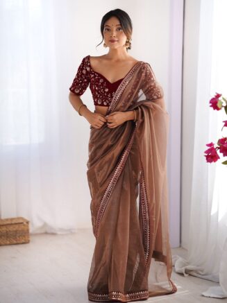 Home 25 RjPoshak Brown Net Saree with Velvet Blouse – Embroidered Party Wear Saree for Women