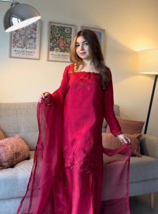 Designer Kurta Palazzo Set with Organza Dupatta | Festive Wear | RjPoshak