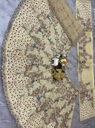 Designer Soft Net Lehenga Choli I RjPoshak
