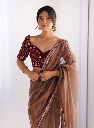 RjPoshak Brown Net Saree with Velvet Blouse – Embroidered Party Wear Saree for Women